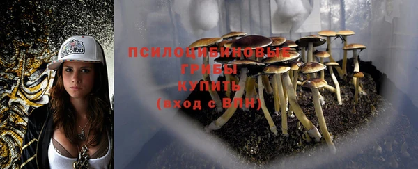 гашик Алзамай