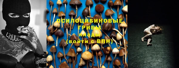 крисы Алексин