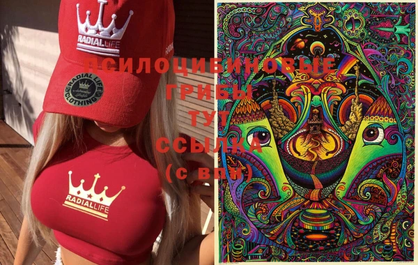 шишки Алексеевка