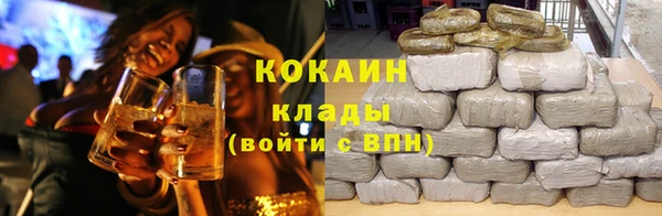 гашик Алзамай