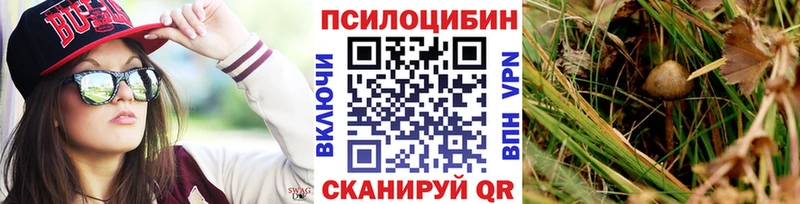 дарнет шоп  Чёрмоз  Псилоцибиновые грибы GOLDEN TEACHER 